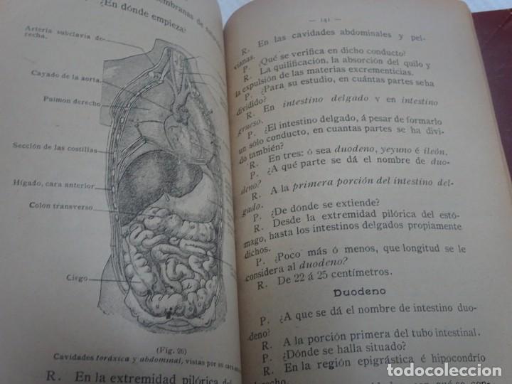 Libros antiguos: ELEMENTOS GENERALES DE ANATOM&Iacute;A , J.M. DALMAU , VER FOTOS