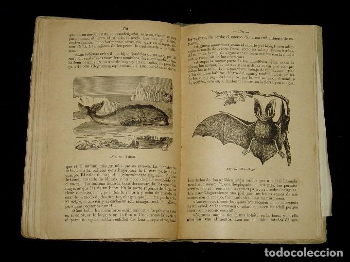 Libros antiguos: Libro S. XIX Juanito - Foto 17