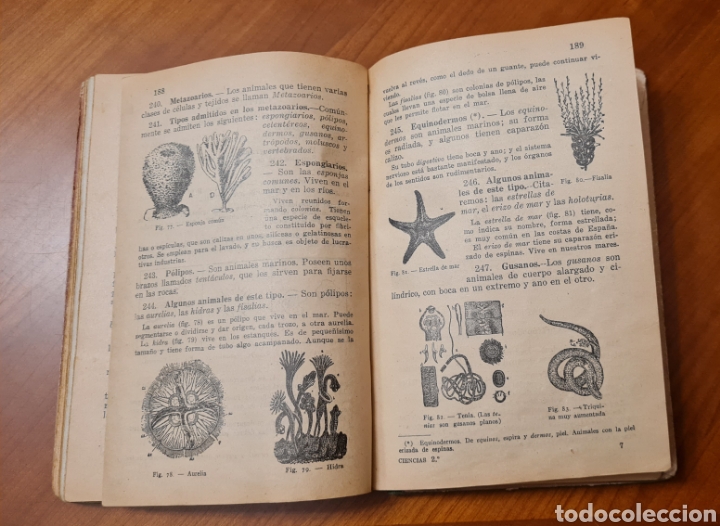 Libros antiguos: Libro ciencias a&ntilde;o 1949 - Foto 2