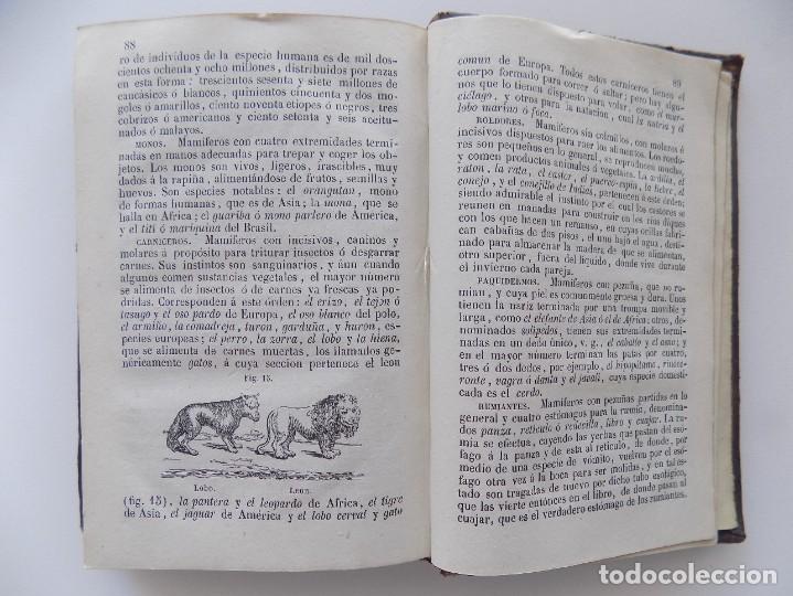 Libros antiguos: LIBRERIA GHOTICA. IRIARTE.LECCIONES INSTRUCTIVAS HISTORIA Y GEOGRAFIA./LA NATURALEZA PARA NIÑOS.1884 - Foto 7 - 271132688