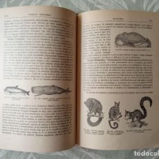 Libros antiguos: HISTORIA NATURAL. ORESTES CENDRERO CURIEL. 1932. Lote 374970349