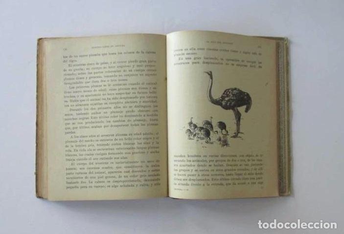 Libros antiguos: SEGUNDO LIBRO DE LECTURA - A&Ntilde;O 1936 - Foto 4