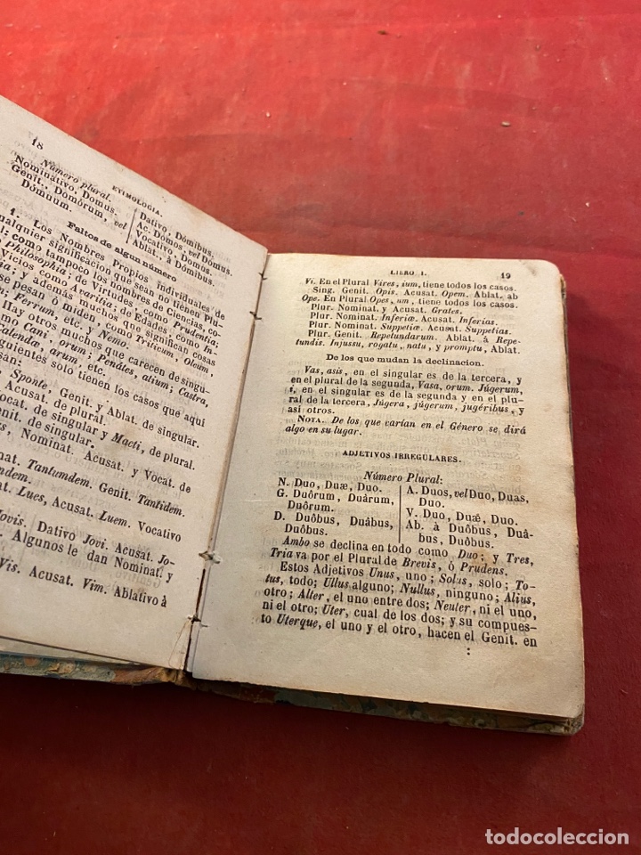 Libros antiguos: GRAM&Aacute;TICA LATINA 1864 - Foto 2