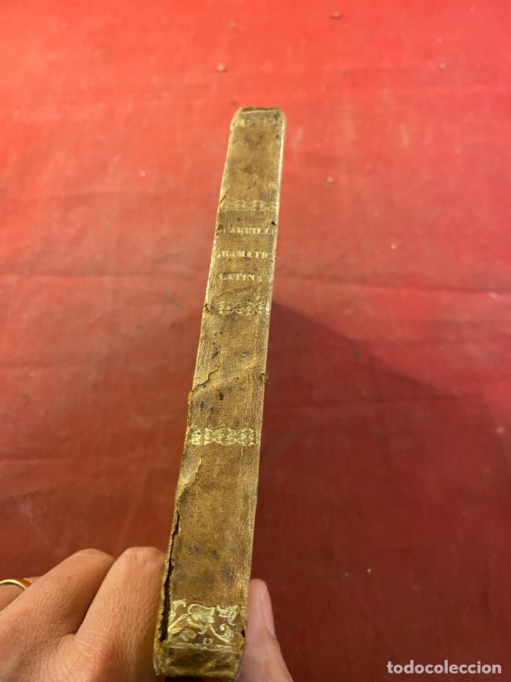 Libros antiguos: GRAM&Aacute;TICA LATINA 1864 - Foto 4