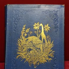 Libros antiguos: EL BUFÓN DE LOS NIÑOS 1879. Lote 363867955