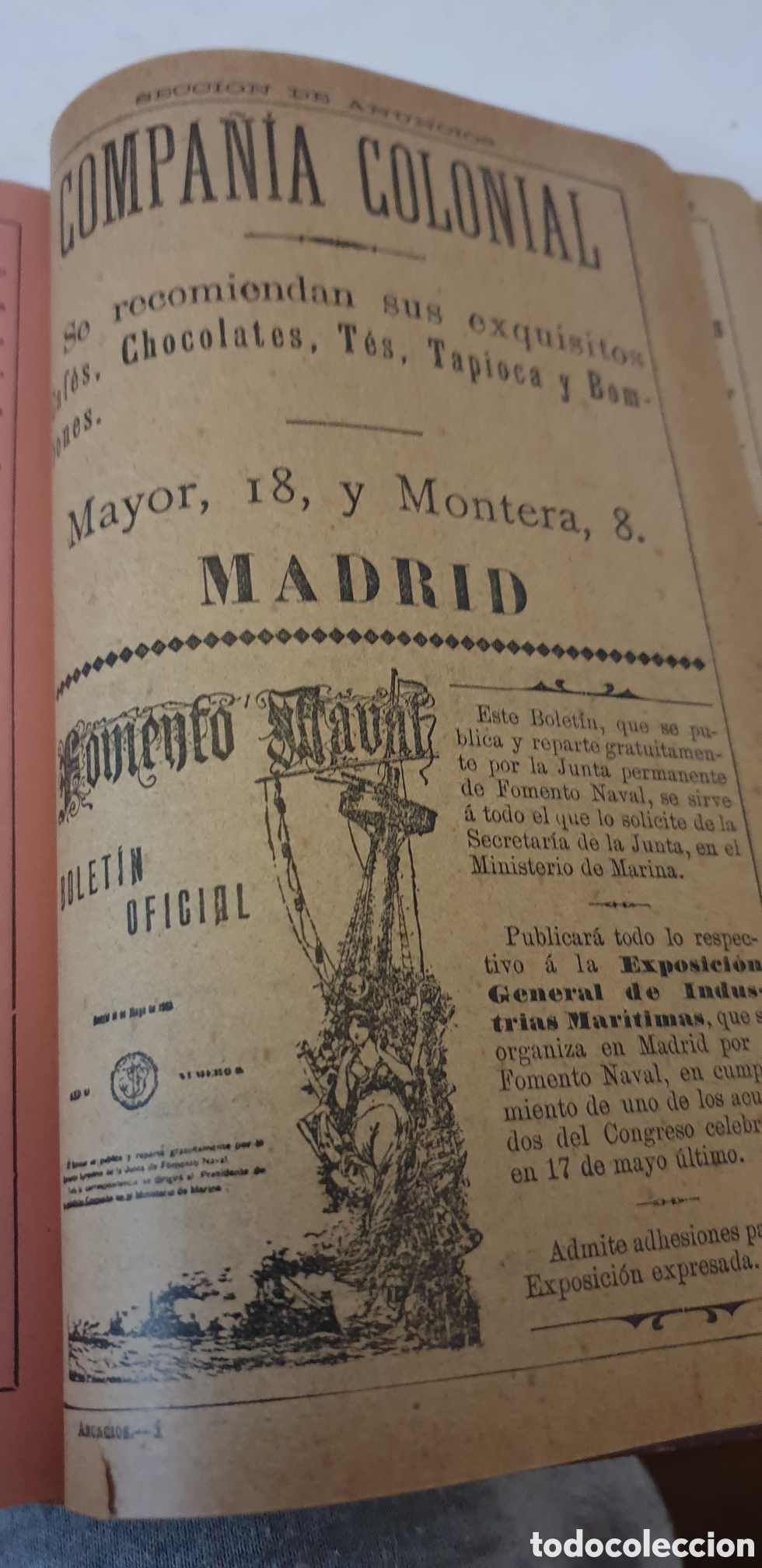 Libros antiguos: Almanaque 1905 Bailly-Bailliare - Foto 5
