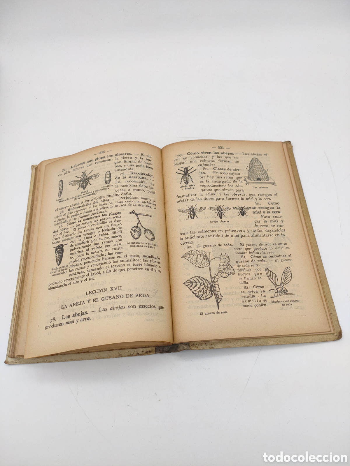 Libros antiguos: Libro escolar 1936 ENCICLOPEDIA ELEMENTAL - Foto 6