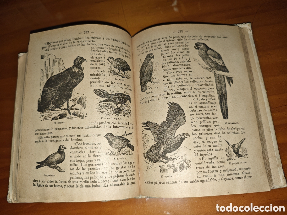 Libros antiguos: Tesoro de las Escuelas. - Foto 6