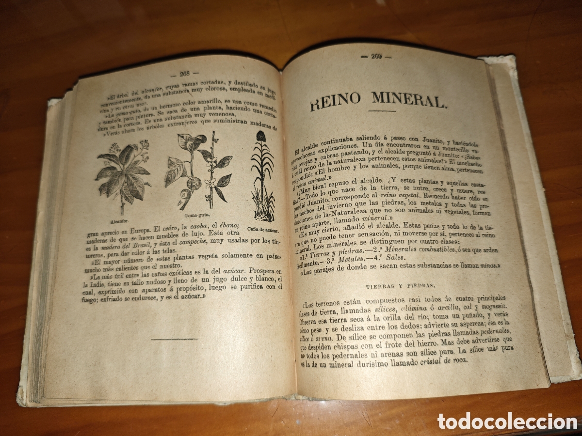 Libros antiguos: Tesoro de las Escuelas. - Foto 7
