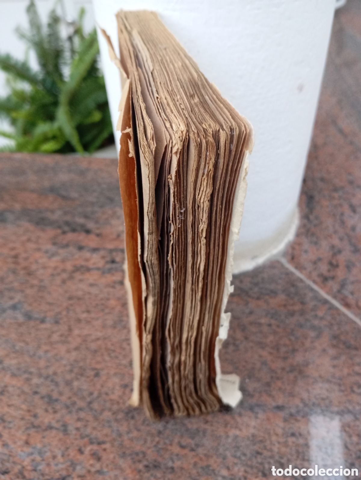 Libros antiguos: Manual de Gram&aacute;tica Latina 1934. - Foto 2