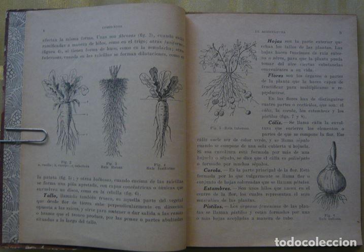 Libros antiguos: COMPENDIO DE AGRICULTURA ELEMENTAL DE 1928 - Foto 3