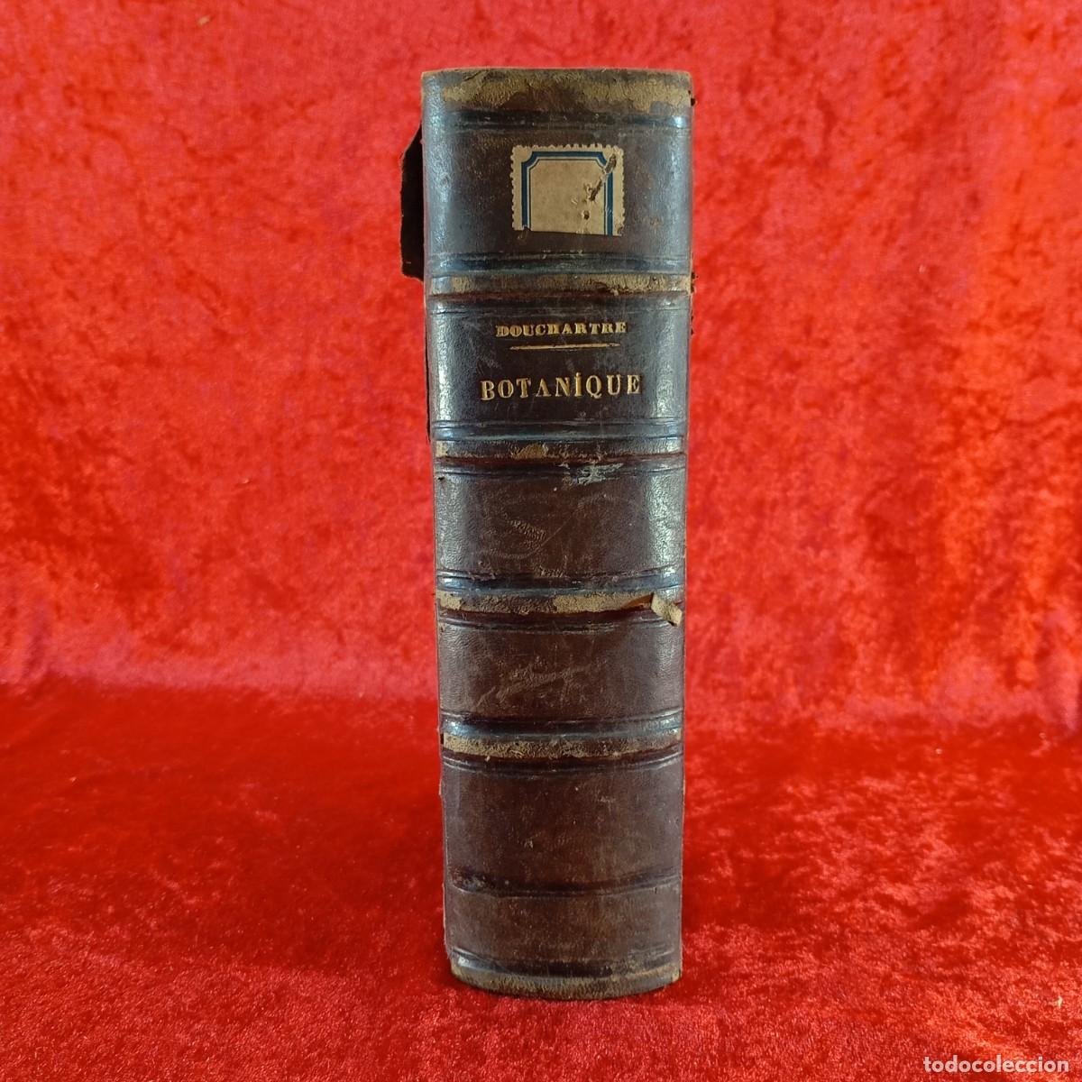 Libros antiguos: &Eacute;L&Eacute;MENTS DE BOTANIQUE - P. DUCHARTRE - 1867 / 4305 - Foto 4