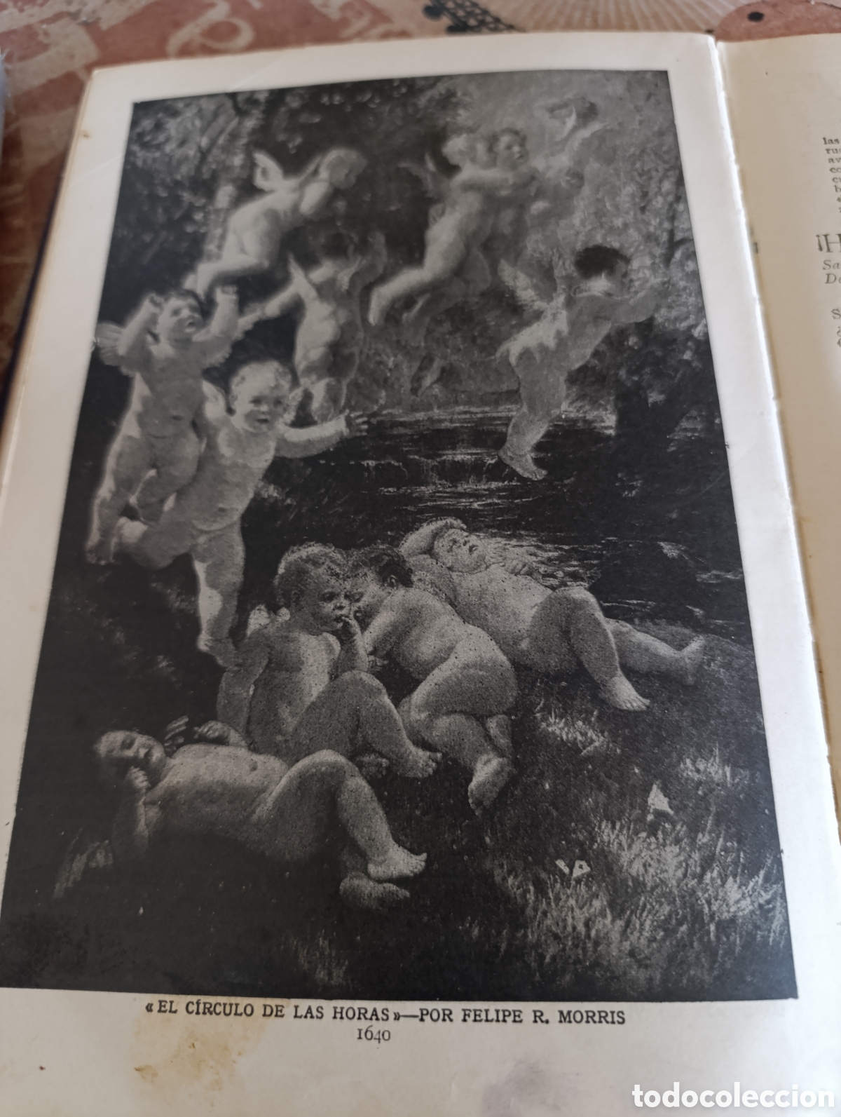 Libros antiguos: Libro Tesoro de la Juventud tomo V - Foto 7