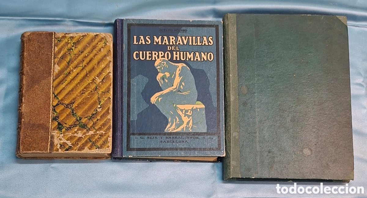 Libros antiguos: Libros antiguos: anatom&iacute;a, matem&aacute;ticas y ciencias naturales (1871&ndash;1932)