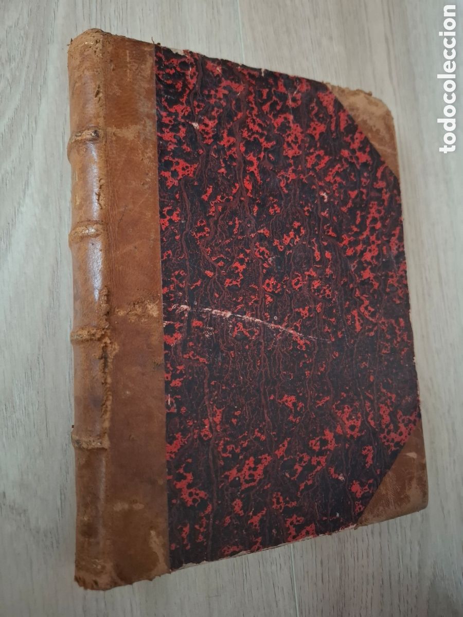 Libros antiguos: Programa de un curso de Historia Natural por Jos&eacute; Albi&ntilde;ana, Imprenta d Jos&eacute; Sol Torrens, L&eacute;rida 1881
