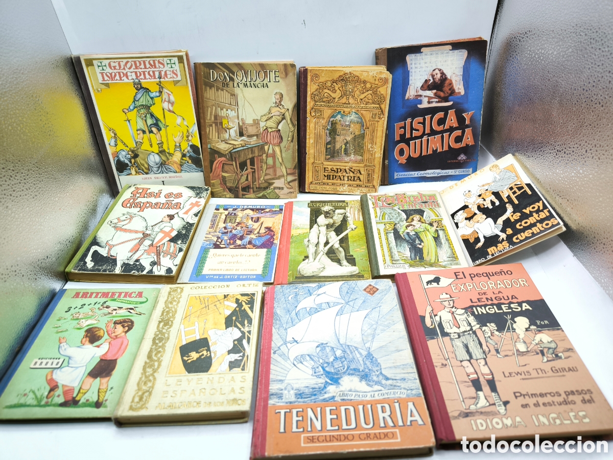 Libros antiguos: 13 Libros de texto antiguos