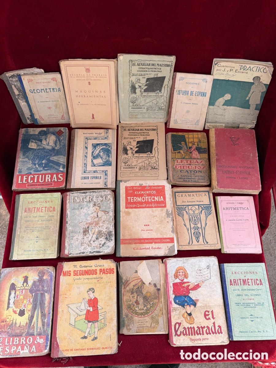 Old books: Gran lote de libros antiguos de colegio!
