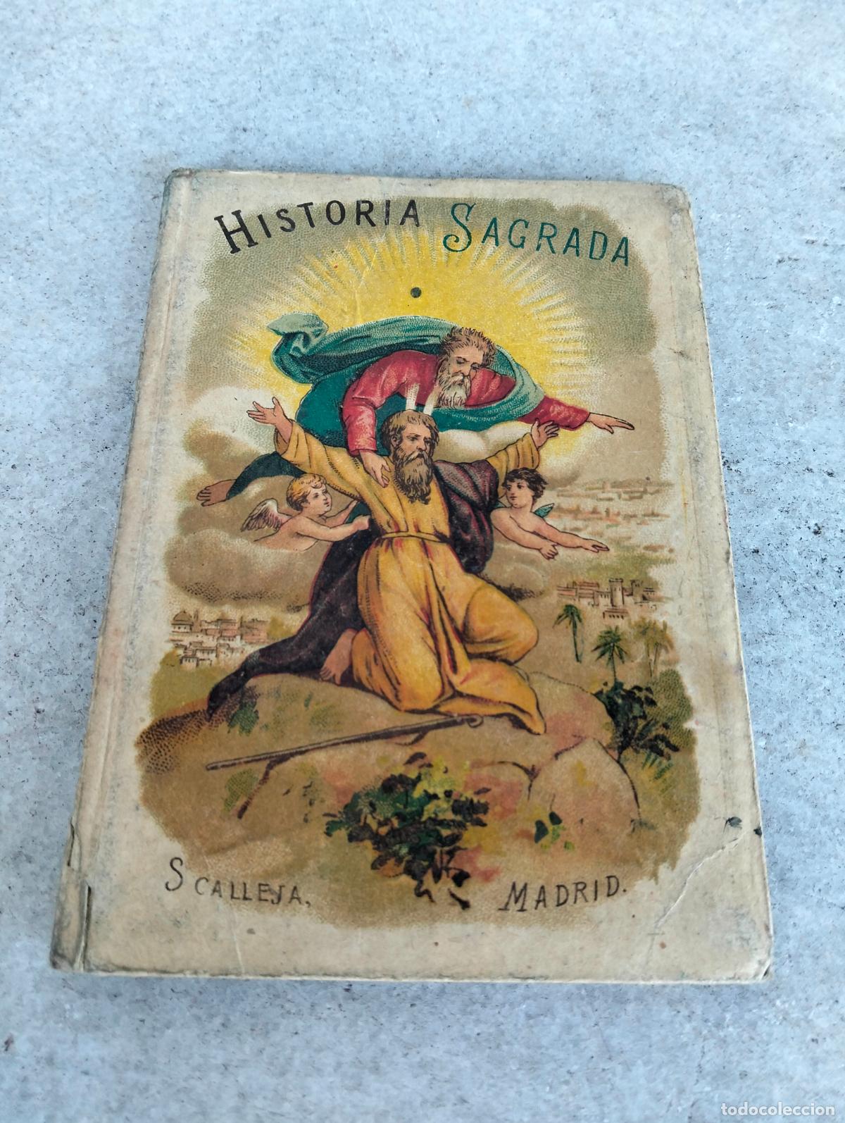 Libros antiguos: Programa de historia sagrada por D Mariano Torre y Marco a&ntilde;o 1891