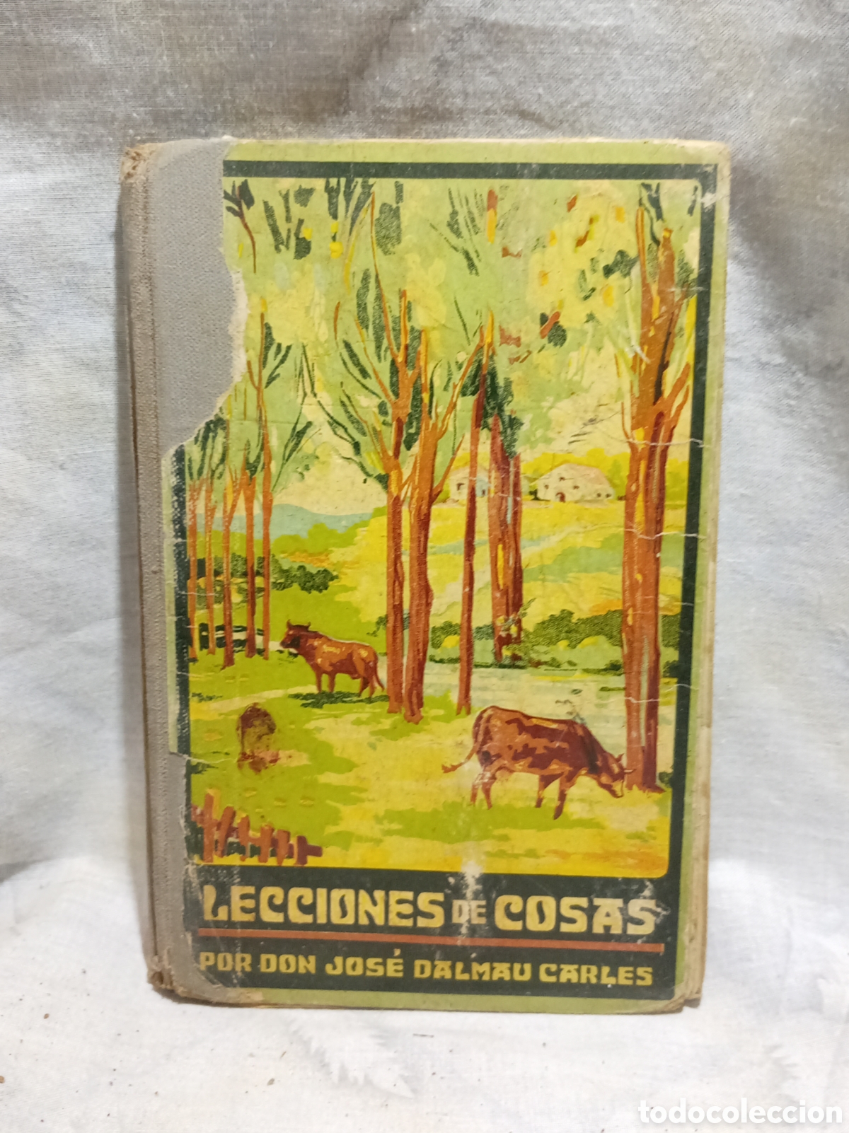 Old books: 1925, LECCIONES DE COSAS POR DON JOS&Eacute; DALMAU CARLES, LIBRO TERCERO