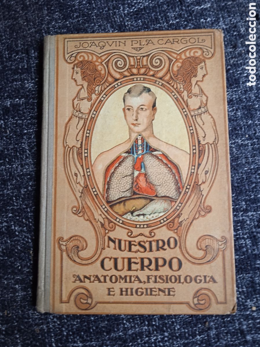 Libros antiguos: NUESTRO CUERPO. - ELEMENTOS DE FISIOLOG&Iacute;A E HIGIENE - / JOAQU&Iacute;N PLA CARGOL. DALMAU CARLES 1932