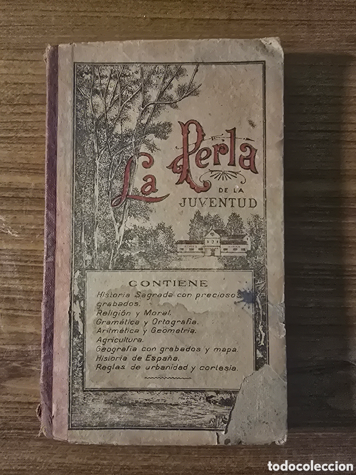 Libros antiguos: LA PERLA DE LA JUVENTUD,(D.PEDRO FERNANDEZ PE&Ntilde;A)