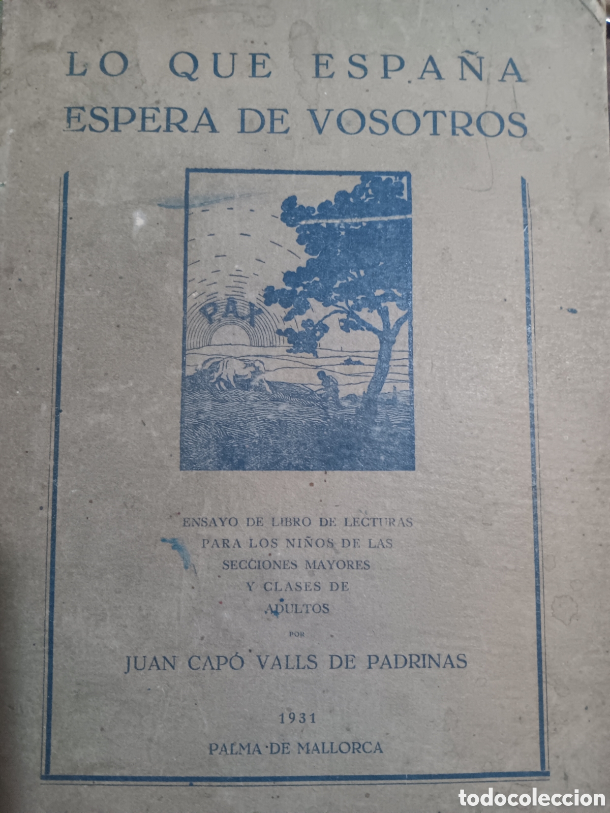 Libros antiguos: LO QUE ESPA&Ntilde;A ESPERA DE VOSOTROS JUAN CAP&Oacute; VALLS DE PADRINAS