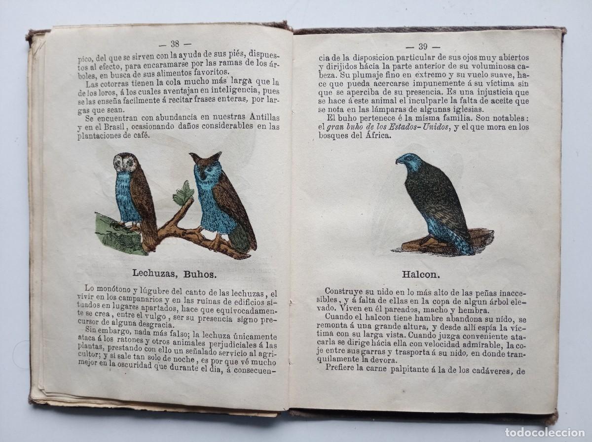 Libros antiguos: PALUZIE. HISTORIA NATURAL PARA NI&Ntilde;OS. MEDIADOS S. XIX. CON MULTITUD DE GRABADOS ILUMINADOS A MANO
