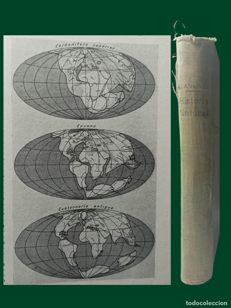 Libri antichi: HISTORIA NATURAL. Salustio Alvarado. 1928