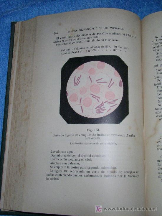 Libros antiguos: COMPENDIO DE BACTERIOLOGIA PRACTICA - COURMONT - A&Ntilde;O 1906 - GRABADOS. - Foto 4