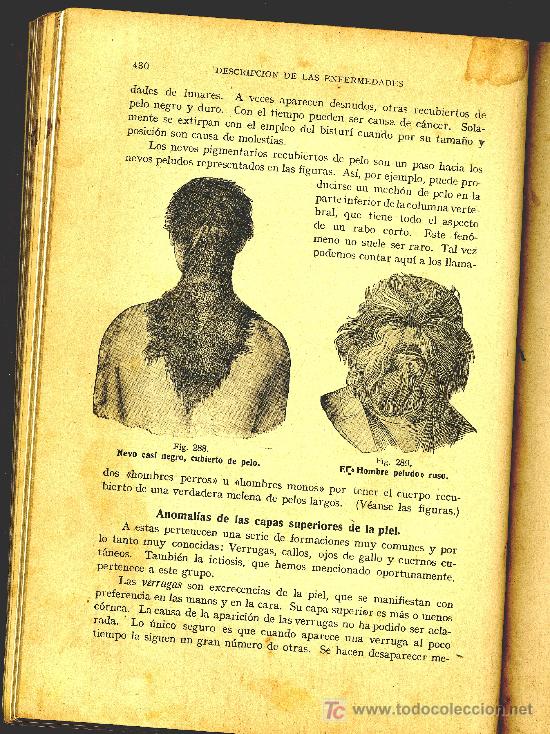 Libros antiguos: EL M&Eacute;DICO EN EL HOGAR / JENNY SPRINGER / ORBIS 1923 - Foto 7