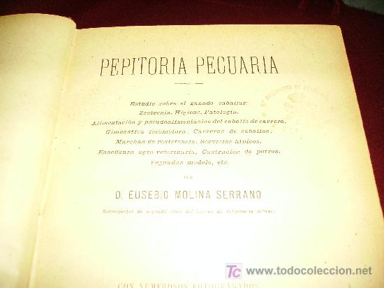 Libros antiguos: PEPITORIA PECUARIA  ESTUDIO SOBRE EL GANADO CABALLAR