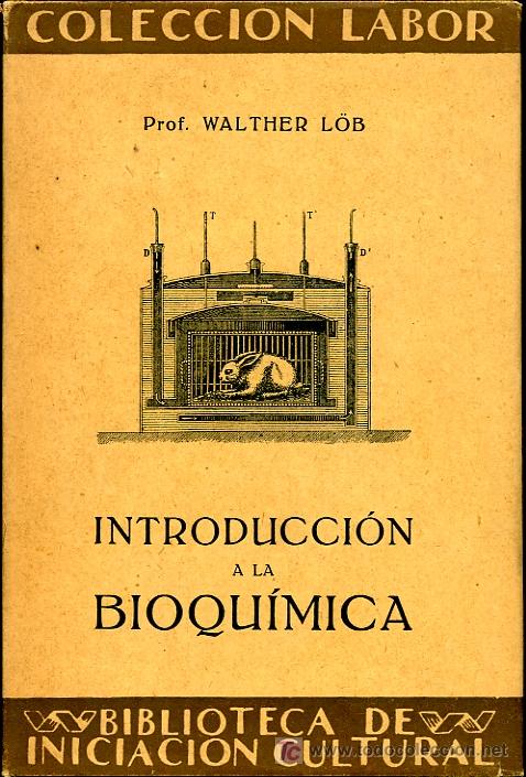 Libros antiguos: Walther Lob - Introducci&oacute;n a la bioqu&iacute;mica - 1929 - Foto 1