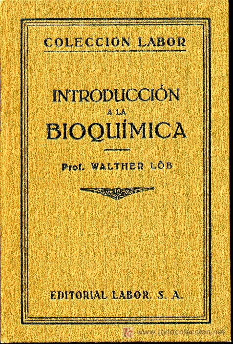 Libros antiguos: Walther Lob - Introducci&oacute;n a la bioqu&iacute;mica - 1929 - Foto 2