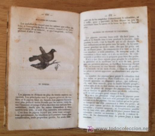Libros antiguos: LE PARFAIT BOUVIER - A&Ntilde;O 1836 - Foto 5
