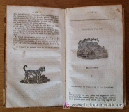 Libros antiguos: LE PARFAIT BOUVIER - A&Ntilde;O 1836 - Foto 7
