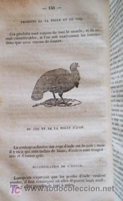 Libros antiguos: LE PARFAIT BOUVIER - A&Ntilde;O 1836 - Foto 8