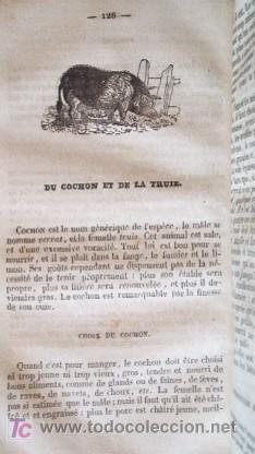 Libros antiguos: LE PARFAIT BOUVIER - A&Ntilde;O 1836 - Foto 9