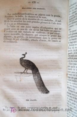 Libros antiguos: LE PARFAIT BOUVIER - A&Ntilde;O 1836 - Foto 10
