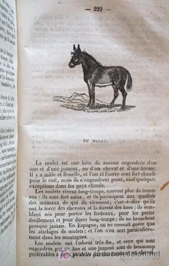 Libros antiguos: LE PARFAIT BOUVIER - A&Ntilde;O 1836 - Foto 12