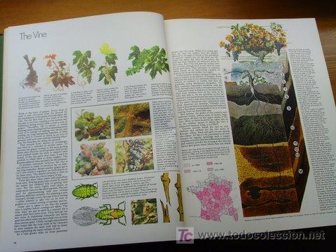 Libros antiguos: Libro de vinos en Ingles. - Foto 3