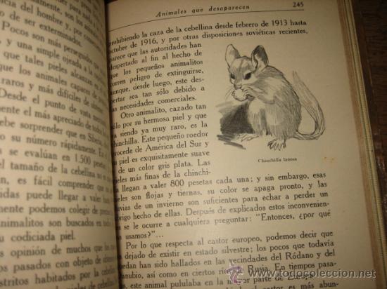 Libros antiguos: LAS MARAVILLAS DE LOS ANIMALES - Foto 2