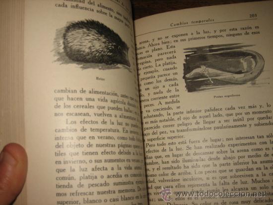 Libros antiguos: LAS MARAVILLAS DE LOS ANIMALES - Foto 3