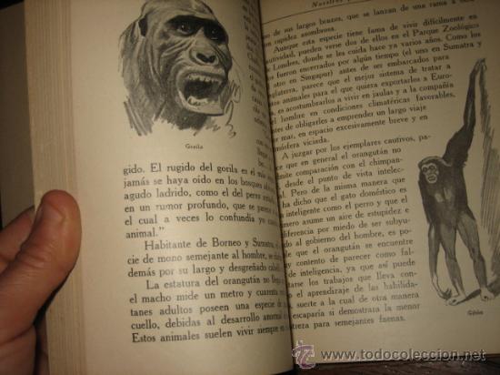 Libros antiguos: LAS MARAVILLAS DE LOS ANIMALES - Foto 4
