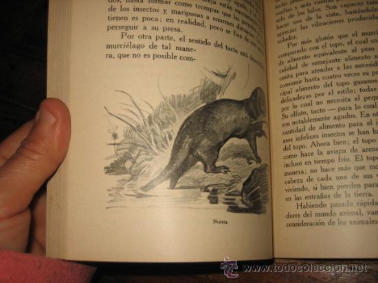 Libros antiguos: LAS MARAVILLAS DE LOS ANIMALES - Foto 5