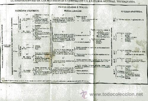 Libros antiguos: ELEMENTOS DE ANATOMIA GENERAL (VETERINARIA) O HISTOLOGIA COMPARADA,,1864 . - Foto 2