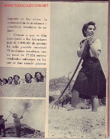Libros antiguos:   - Foto 3
