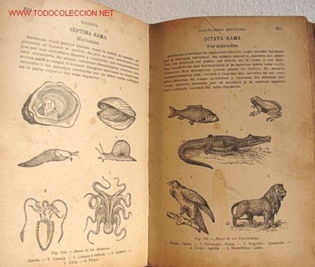 Libros antiguos: HISTORIA NATURAL, POR LANGLEBERT - Foto 3
