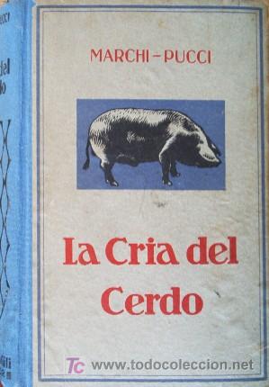 Libros antiguos: LA CRIA DEL CERDO - a&ntilde;o 1934 - Foto 2