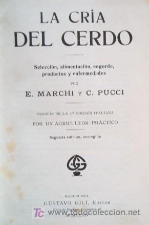 Libros antiguos: LA CRIA DEL CERDO - a&ntilde;o 1934 - Foto 3