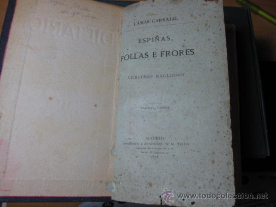 LAMAS CARVAJAL - ESPIÑAS FOLLAS E FRORES. VERSIÑOS GALLEGOS. IMP M.TELLO. MADRID, 1877 1 ª (Libros Antiguos, Raros y Curiosos - Literatura - Otros)